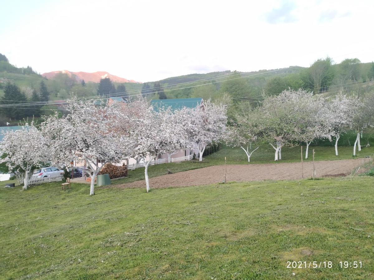 Apartments & Rooms Bojic Kolašin المظهر الخارجي الصورة